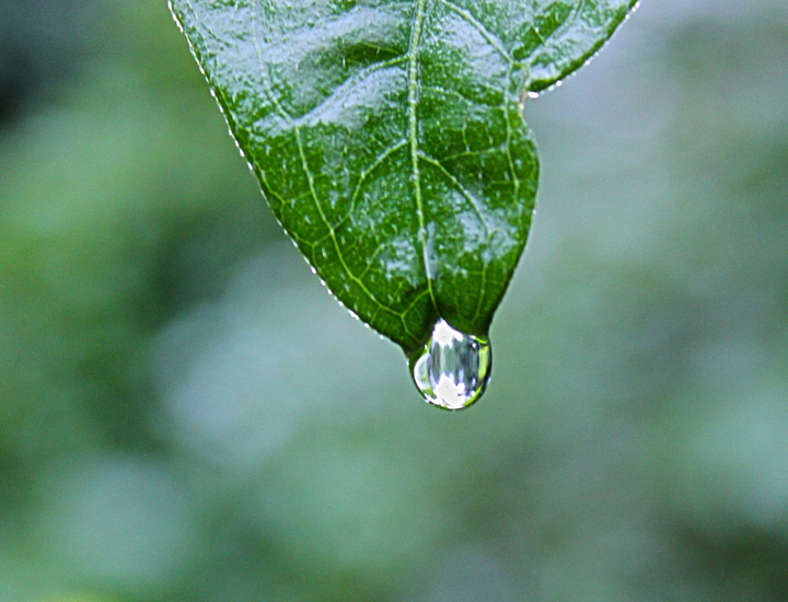 ddos服务器攻击手段