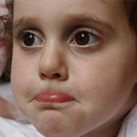 网站攻击软件工具